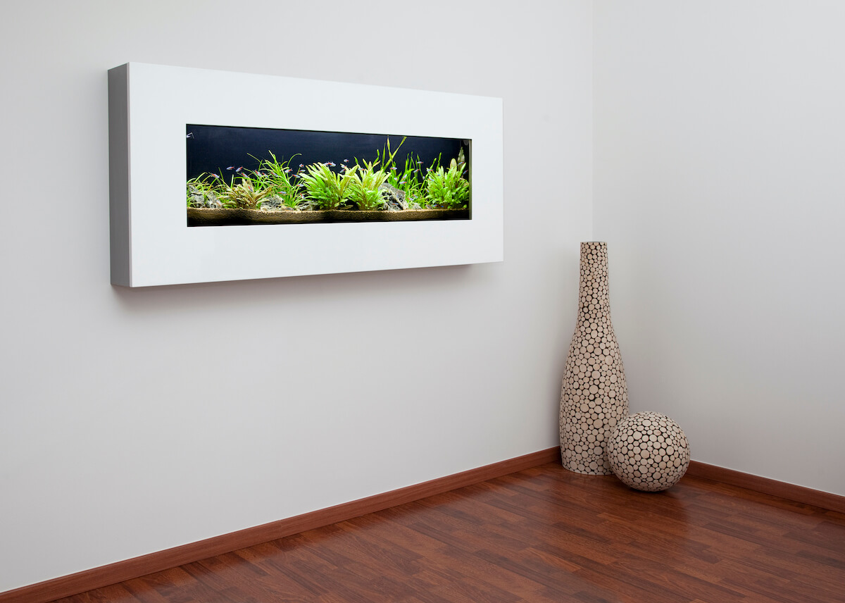 foto akvária obrazu
